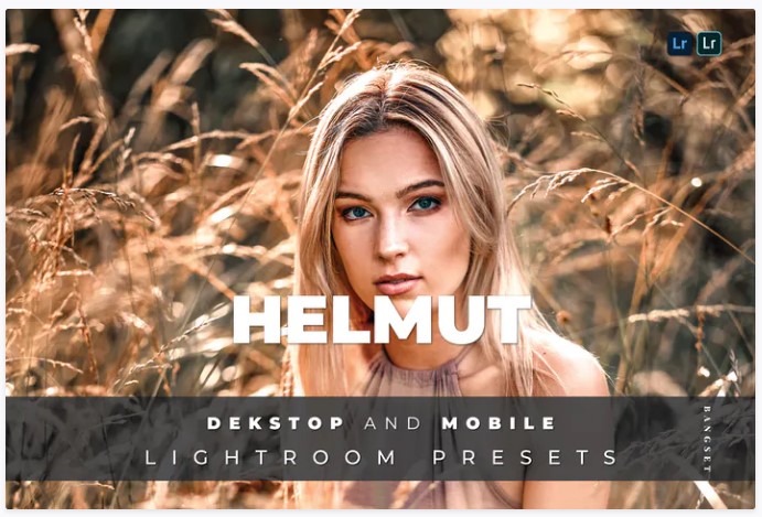[Elements.Envato] Helmut Desktop and Mobile Lightr_0.jpg